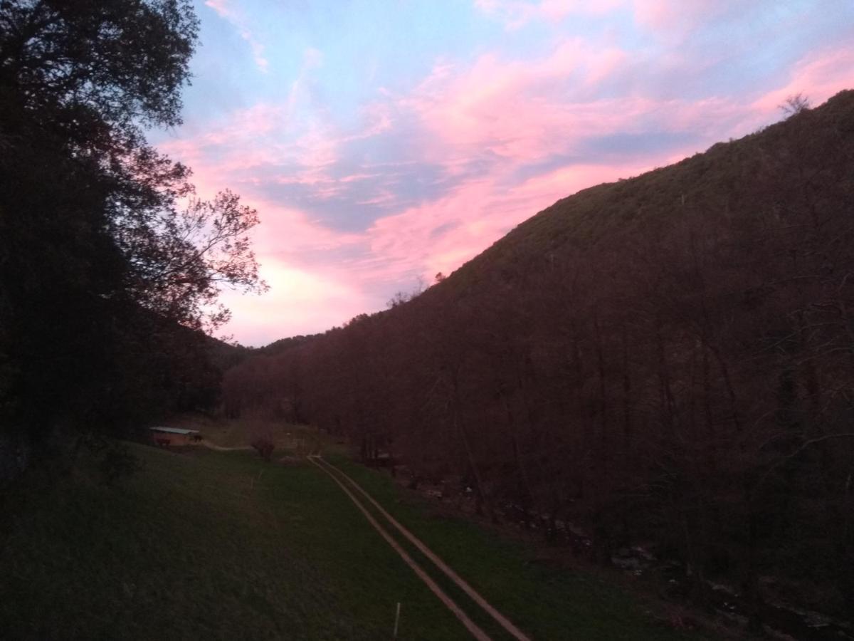 Chambre Cevennes: Piscine, Lamas, Riviere Cros  ภายนอก รูปภาพ