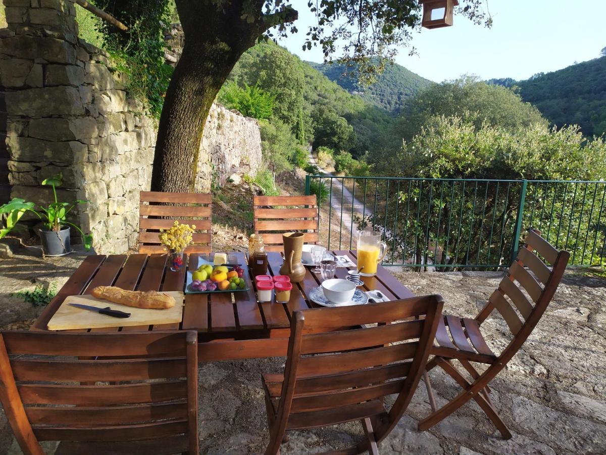 Chambre Cevennes: Piscine, Lamas, Riviere Cros  ภายนอก รูปภาพ